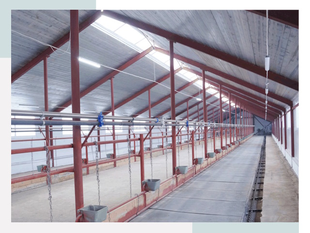 Строительство коровников в Ступине от 624 руб.