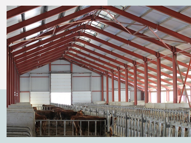 Строительство коровников в Ступине