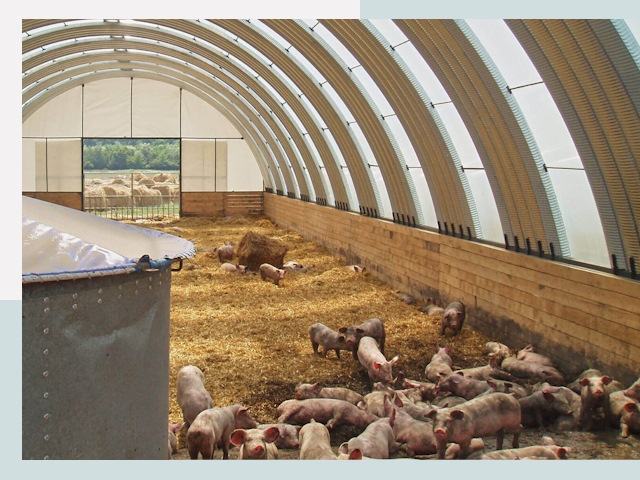 Строительство свинарников в Ступине