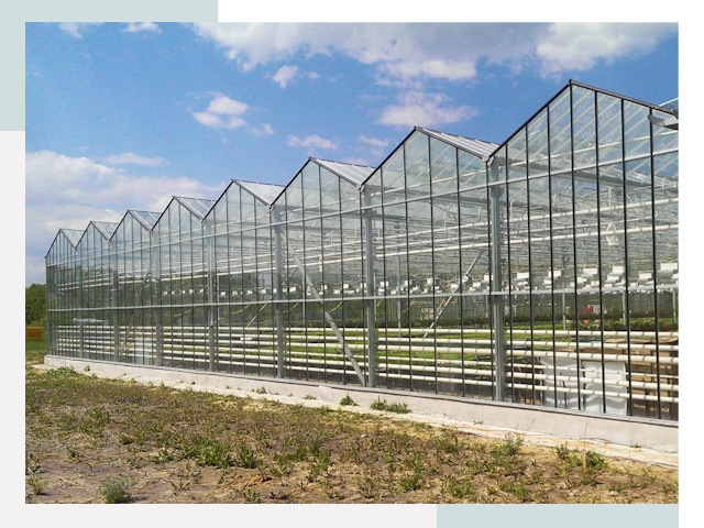 Строительство теплиц в Ступино от 624 руб. за м²